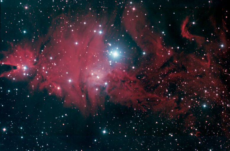 NGC_2264_2023